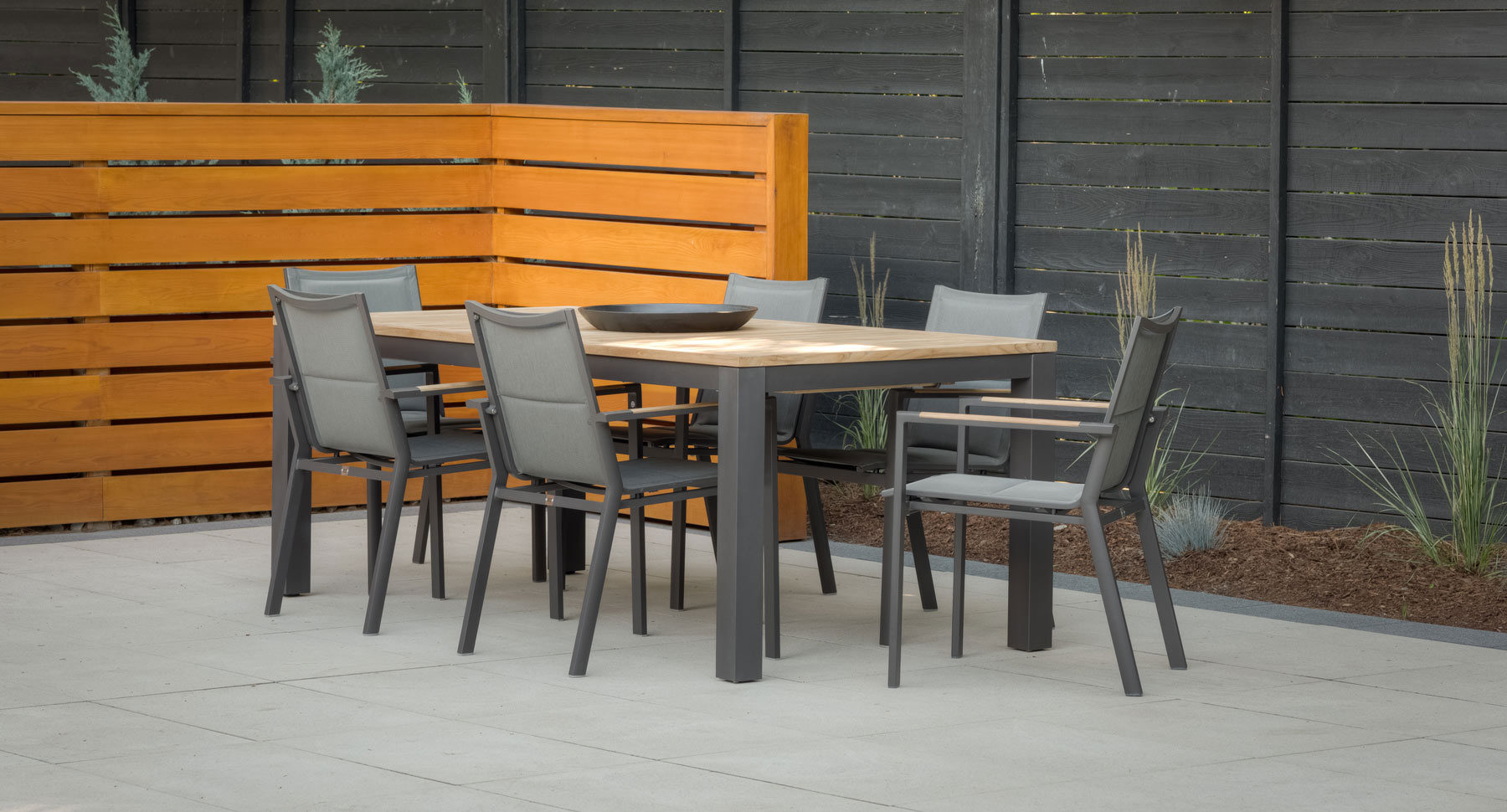 La Paz Dining Arm Chairs