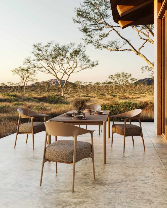 Africa Upholstered Dining Arm Chairs